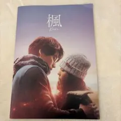 映画 楓 Kaede パンフレット