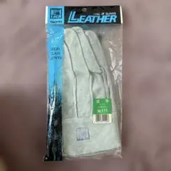 Item thumbnail for item 170b6e05-a7da-44ef-b596-534d188268dc