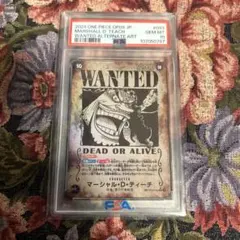 2025年最新】ワンピースカード 手配書 psa10の人気アイテム - メルカリ
