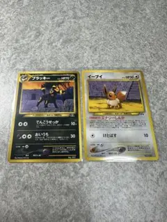ブラッキー オールナイトパーティ PROMO XYシリーズプロモーション