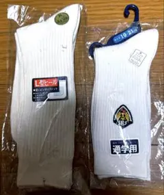 Item thumbnail for item b227c4f6-3b54-4325-9be3-535e93182be5