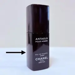 シャネル アンテウス プールオム オードトワレ 100ml - メルカリ
