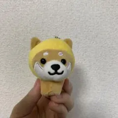 さや（プロフ、一読お願い致します！）様 リクエスト 2点 まとめ商品