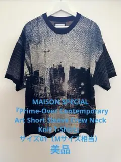 MAISON SPECIALプライムオーバーコンテンポラリーアートニットTシャツのサムネイル