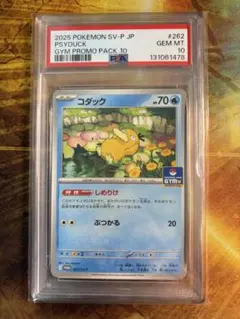 【PSA10】コダック ジムプロモ しめりけ 262/SV-P 102