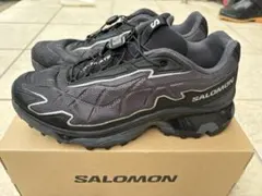 サロモンXT DEMO 154cm 2026年最新】salomon demo xtの人気アイテム - メルカリ
