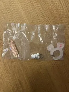 TWICE LOVELYS アクリルカラビナフロッキーマスコット