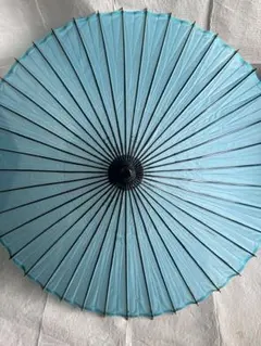 Item thumbnail for item e4153db2-b559-419d-8e9b-4bd8801baada