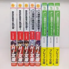 ライトノベル　まとめ(B76)
