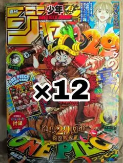 週刊少年ジャンプ 2026年33号 ONE PIECE 12冊セット 付録付き - メルカリ