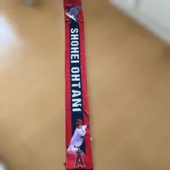 Item thumbnail for item c78794a3-f2c2-43b4-90c9-55da6352d82e