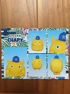 横浜DeNAベイスターズ　選手証明写真風ブロマイド1枚【チャピー】