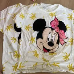 ZARA kids ミニーちゃんTシャツ134&152