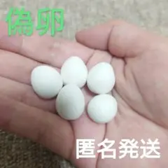 Item thumbnail for item 5bc11d48-0f78-4ac4-8223-bd688f37beb5