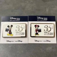 ディズニーストア 30周年 オリジナルピンズ ミッキー ミニー