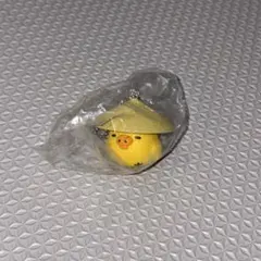 キイロイトリ