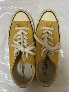 CT70 サンフラワー