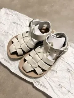 SaltWater Sandals Shark Stone サンダル