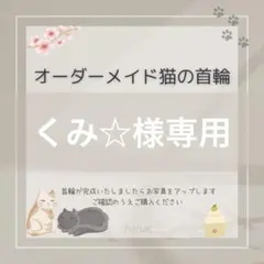 くみ☆様専用