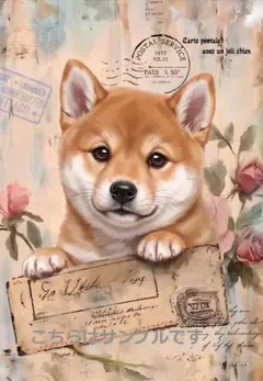 犬 生地 パネル生地 柴犬