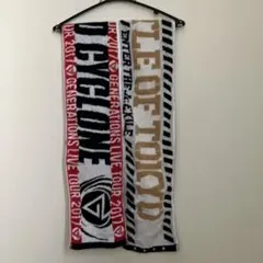 GENERATIONSとTHE RAMPAGE のライブツアー　タオル　のセット