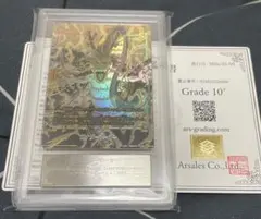 ARS10+ FB07-113 ブルマ パラレル 【鑑定書付】 - メルカリ