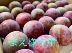 まえ様専用になります。