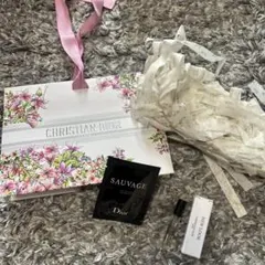 【限定ショッパー】DIOR ディオール ギフトバッグ・サンプル・薄紙 4点セット