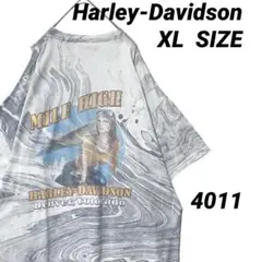 ハーレーダビッドソン Tシャツ XL 総柄 ピンナップガール 両面 希少 ボロ