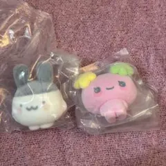 たまごっち カプセルフロッキーズ みみっち ふらわっち