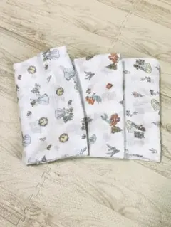 aden + anais おくるみ 3枚セット ディズニー　プリンセス