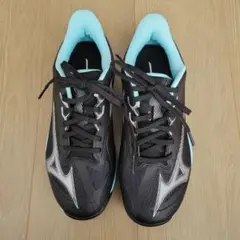 ミズノテニスシューズ ブラック 黒 Mizuno オムニ、クレー用24cm
