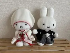 Item thumbnail for item e892d805-368f-4e11-9ac0-ecc7688fe607