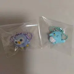 いるかっち チョコボックス