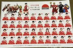 2023年女子日本代表バレーボール ファイル