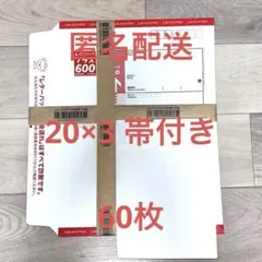 レターパックプラス 600 【100枚】【折曲げず発送】【帯付】【送料込