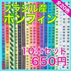 ブラジル・バイーア　ボンフィン(ミサンガ) 10 本セット