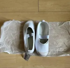 Item thumbnail for item bfc0899f-7af8-4c5e-8999-8d49efea4e65