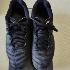 asics DS LIGHT GS JR 22.5cm