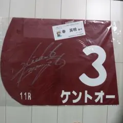 サイレンススズカ　1998年GⅠ宝塚記念直筆サイン入りレプリカゼッケン サイレンススズカ 1998年GⅠ宝塚記念直筆サイン入りレプリカ