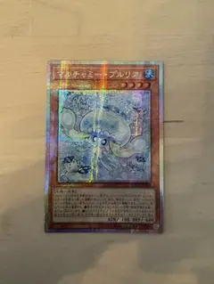 2026年最新】マルチャミー・プルリアの人気アイテム - メルカリ