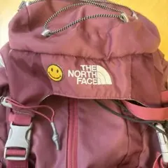 THE NORTH FACE W TELLUS 30 バックパック