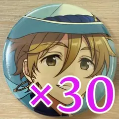 真白友也 あんスタ コレクション缶バッジ 2025 Jun Idol 30個