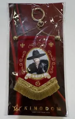 今市隆二 三代目JSB キングダム ビジュアルミニタペストリー 新品未開封