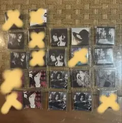 acid black cherry マグネット