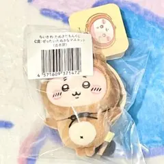 ちいかわ たぬきだもんくじ　C賞　古本屋