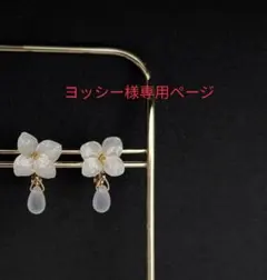 ヨッシー様専用ページとなります。