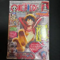 ONE PIECE magazine ワンピースマガジン 20号プロモ付