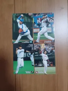 プロ野球チップスカードセット カルビー　2007年