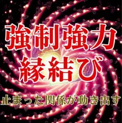 開運日 1名様限定 半額‼️強制縁結び 思念伝達+波動上げ 霊視 占い 四